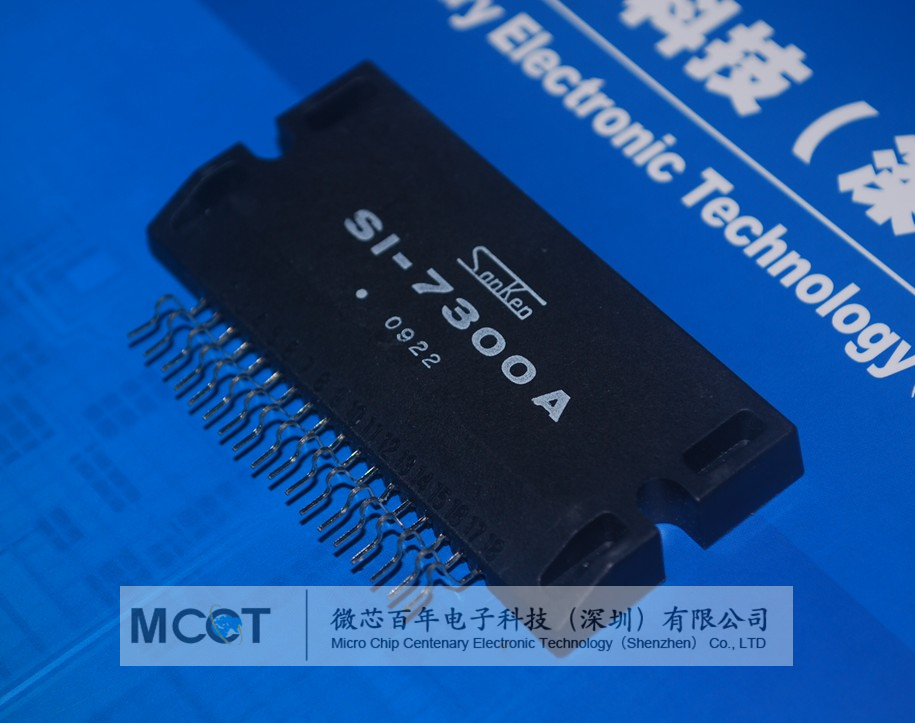 SI-7300A 全新原装 产品图