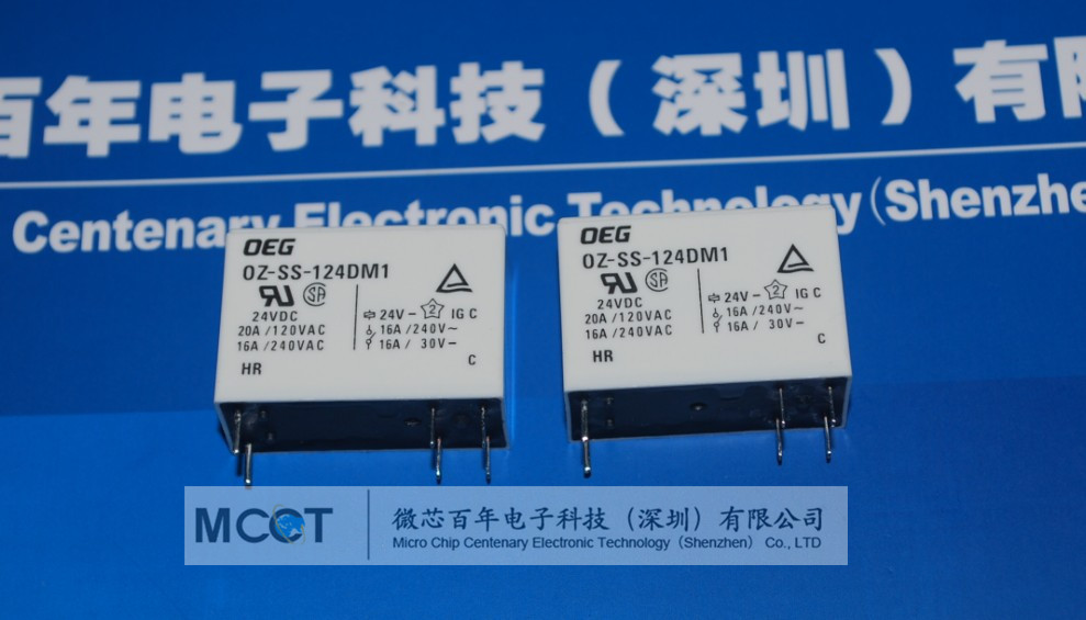 OZ-SS-124DM1 电磁类继电器 产品图